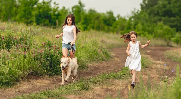 Pretty girls walking on summer meadow — Stock Photo, Image