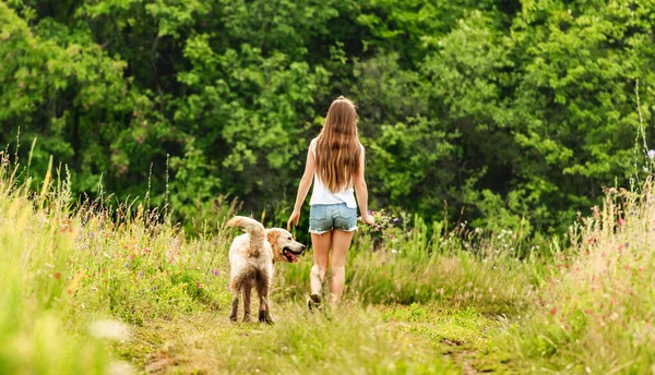 Flicka promenader hund i sommar natur — Stockfoto