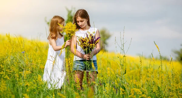 Irmãs bonitos coletando flores silvestres no campo — Fotografia de Stock
