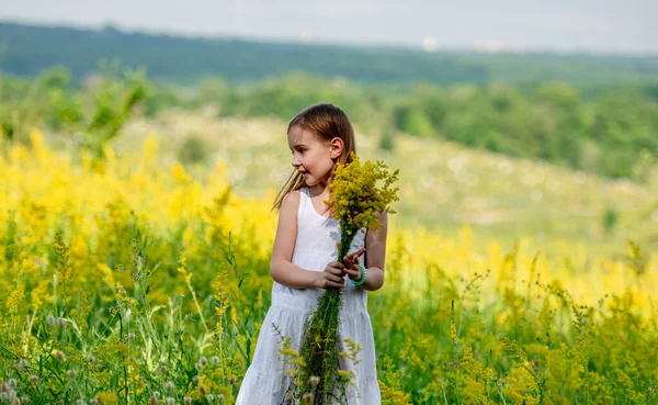 Küçük tatlı kız elinde kır çiçeği buketi tutuyor. — Stok fotoğraf