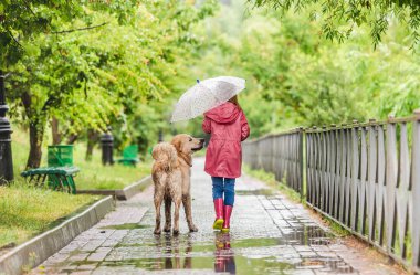 Küçük kız yağmur altında köpeğini gezdiriyor.