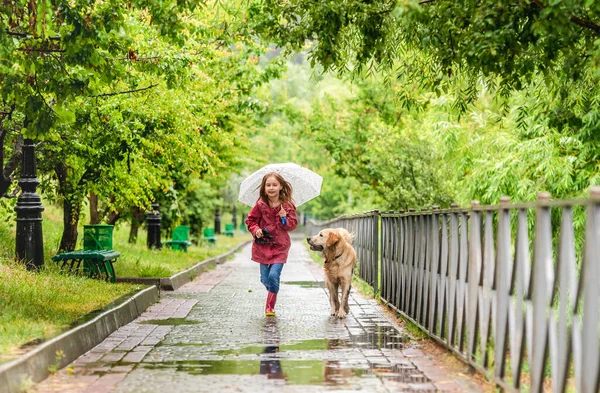 犬と雨の下を歩く少女 — ストック写真