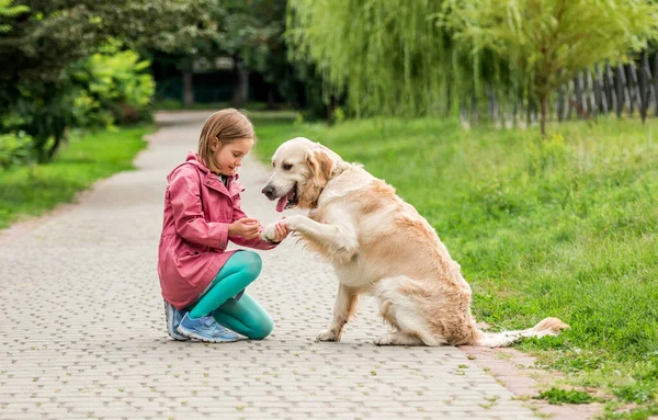 Golden retriever donner patte à petite fille — Photo