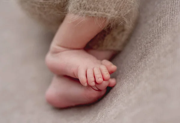 Pequeño bebé recién nacido piernas dulces —  Fotos de Stock