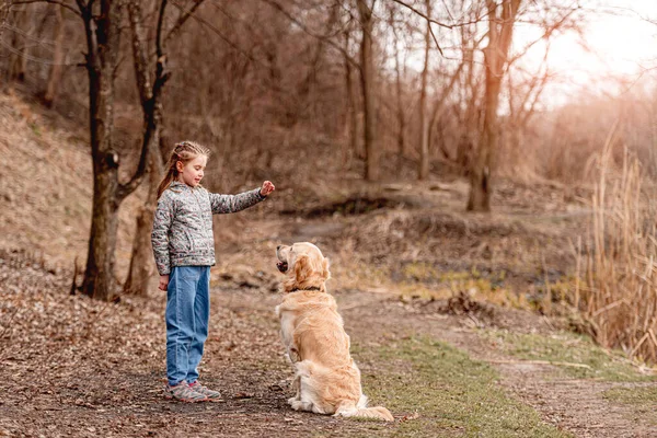 未成年の女の子とともに黄金の取得犬 — ストック写真