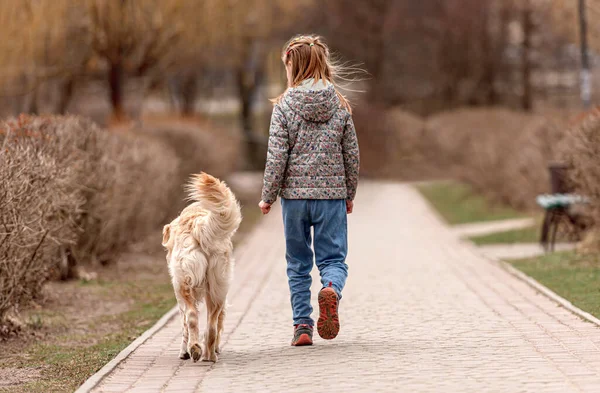 Preteen flicka med golden retriever hund — Stockfoto