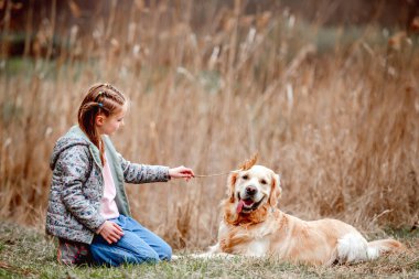 Golden retriever köpeği olan küçük kız dışarıda.