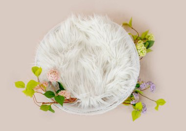 Yeni doğan fotosistem için arkaplan