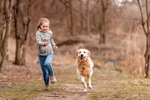 Preteen flicka med golden retriever hund — Stockfoto