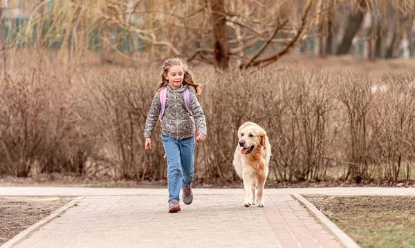 Golden retriever köpeği olan küçük bir kız. — Stok fotoğraf
