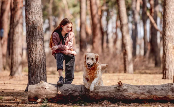 Meisje met golden retriever hond in het bos — Stockfoto