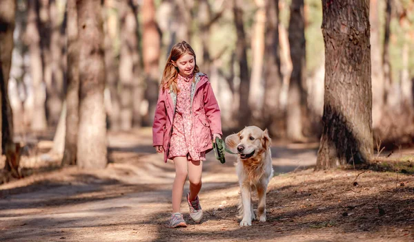 Ormanda köpekli küçük bir kız — Stok fotoğraf