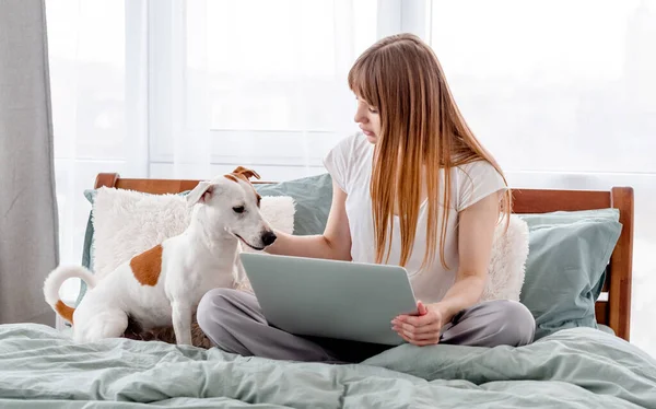 Yatakta köpek ve dizüstü bilgisayarı olan kız. — Stok fotoğraf