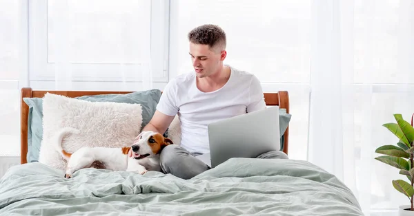 Hombre con perro y portátil en la cama —  Fotos de Stock