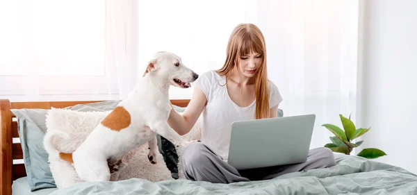 Yatakta köpek ve dizüstü bilgisayarı olan kız. — Stok fotoğraf