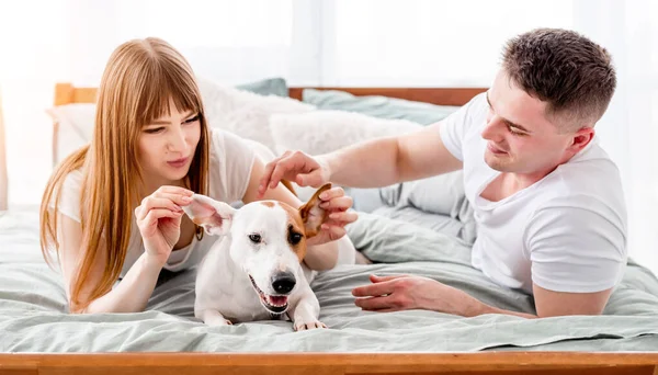 Paar im Bett mit Hund — Stockfoto