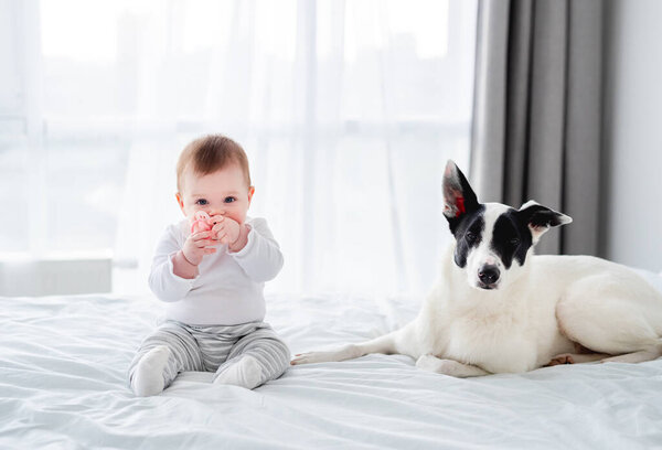 Child with dog in the bed