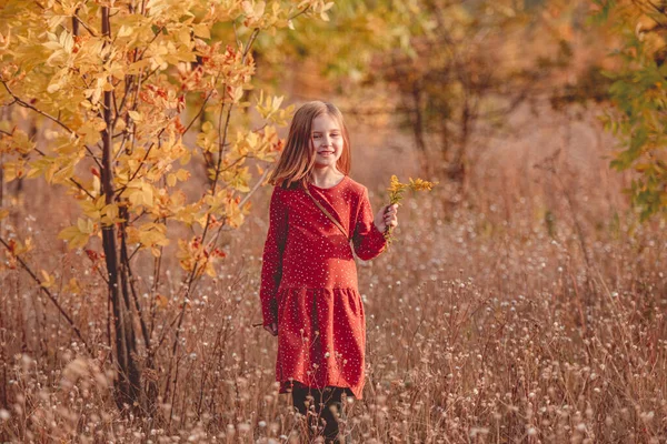 Liten flicka promenader i höstparken — Stockfoto