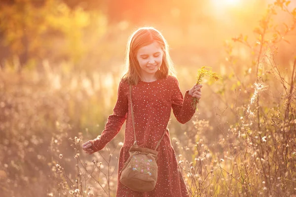 Küçük kız renkli sonbahar doğasında yürüyor. — Stok fotoğraf