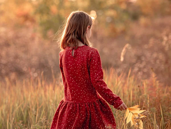 Sonbahar yapraklarıyla gülümseyen küçük kız. — Stok fotoğraf