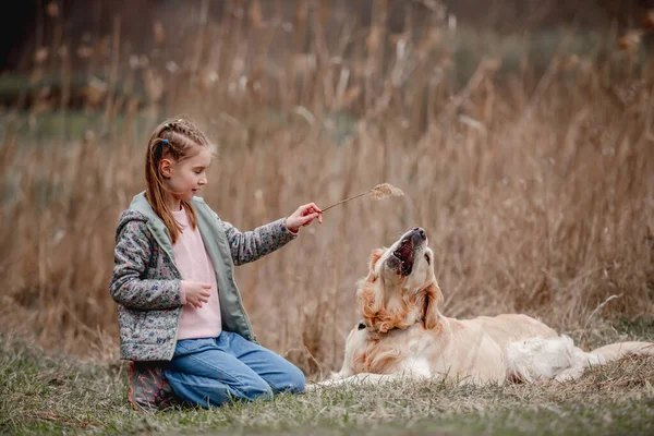 Holčička se zlatým retrívrem venku — Stock fotografie