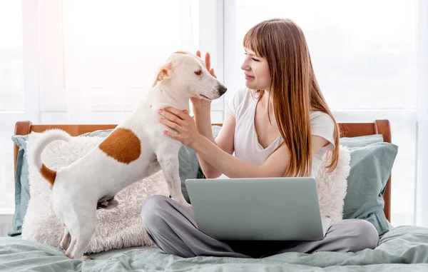 Ragazza con cane e laptop nel letto — Foto Stock