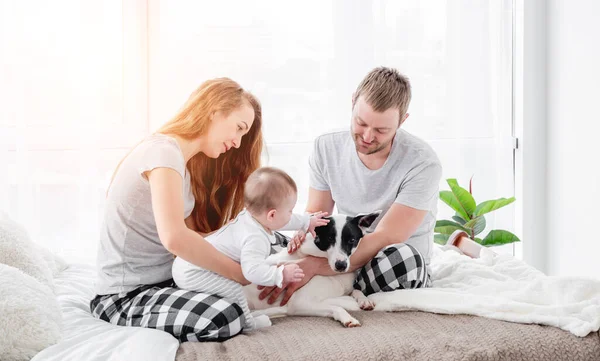 Gezin met hond in bed — Stockfoto