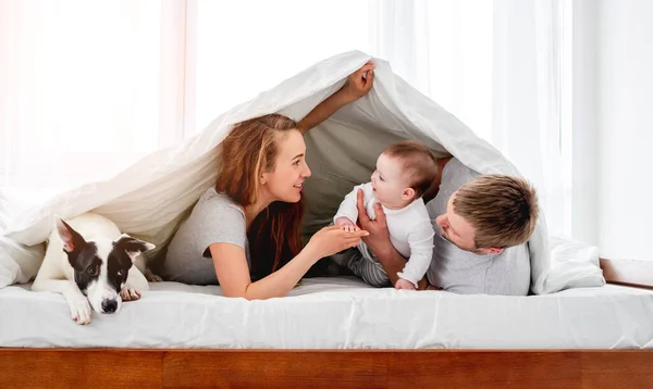 Familia con perro en la cama — Foto de Stock