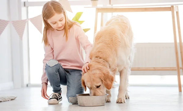 Küçük kız Golden Retriever köpeğini besliyor — Stok fotoğraf