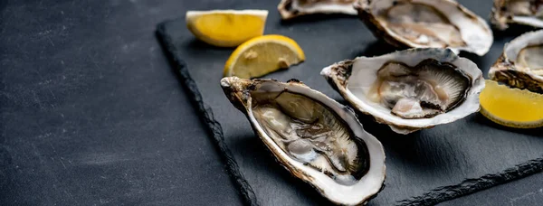 Oysters with lemon on platter — Stock Photo, Image