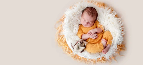 Милый новорожденный, лежащий в колыбели — стоковое фото