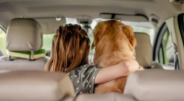 Preteen girl with golden retriever dog in the car — Stock Photo, Image