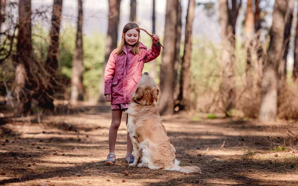 Liten flicka med golden retriever hund — Stockfoto