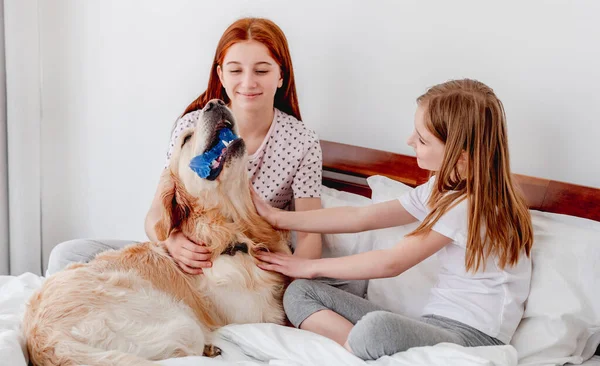 Dziewczyny z psem golden retriever w łóżku — Zdjęcie stockowe