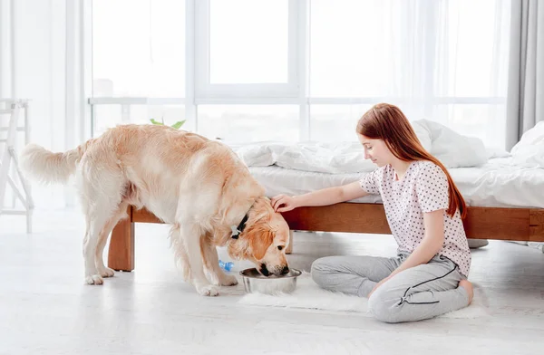 황금 리트리버 개에게 먹이를 주는 소녀 — 스톡 사진