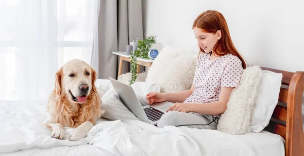 Girl with laptop and golden retriever dog — Stock Photo, Image