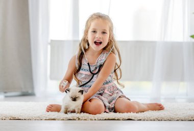 Paçavra bebekli kedi yavrusu