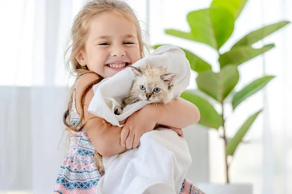 Girl with ragdoll kitten — Stock Photo, Image