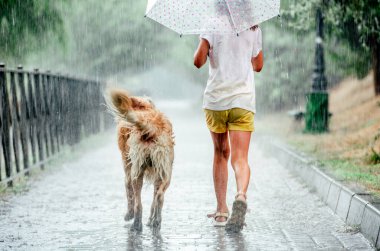 Yağmurlu günlerde Golden Retriever köpeği olan kız