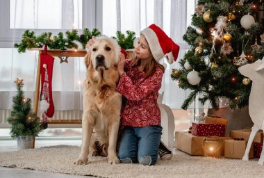 Küçük kız Noel Baba şapkasını köpeğe takıyor.
