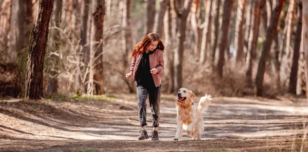 Flicka med golden retriever hund i skogen — Stockfoto