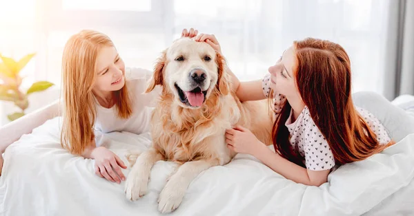 Meisjes met golden retriever hond in het bed — Stockfoto