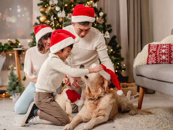 Familia cerca del árbol de Navidad mientras el perro está pasando por —  Fotos de Stock