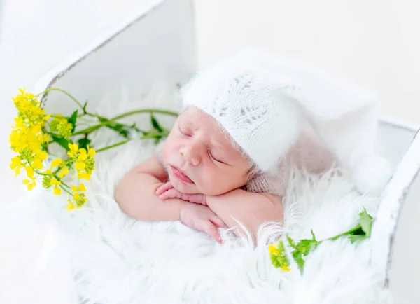 Neugeborenes Studioporträt — Stockfoto