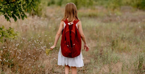 Chica preadolescente en el campo — Foto de Stock