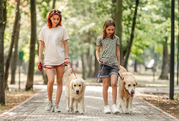 Девушки с золотой ретривер-собакой — стоковое фото