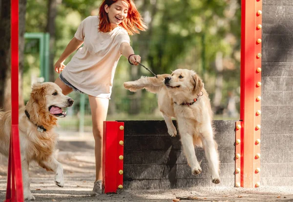 Flicka med golden retriever hundar — Stockfoto