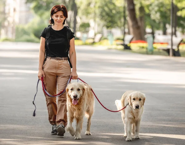 Golden retriever köpekli kız — Stok fotoğraf