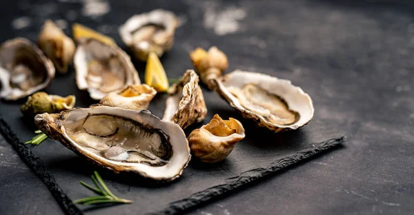 Set of oysters and snails on black platter — Stock Photo, Image