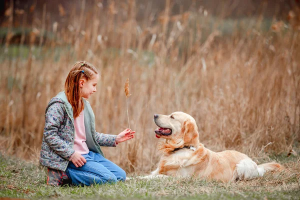 Golden retriever köpeği olan küçük kız dışarıda. — Stok fotoğraf
